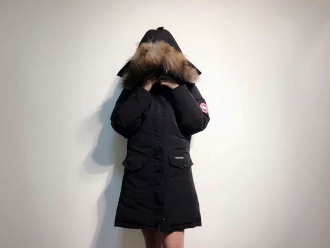 canada goose-003